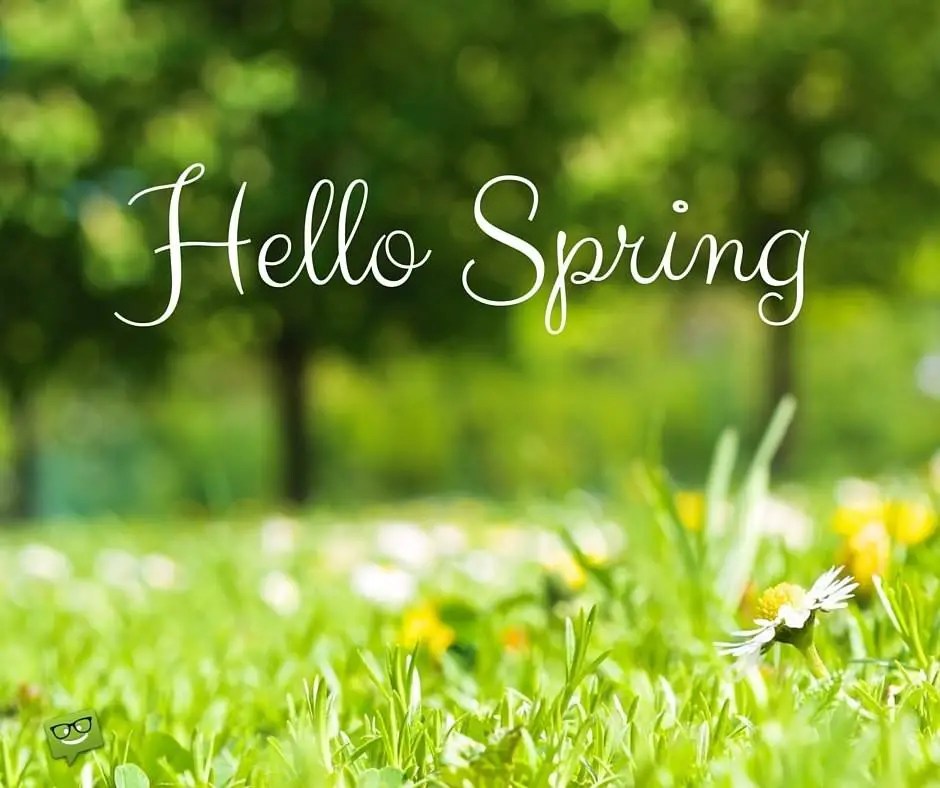 "Hello, Spring!" Quotes