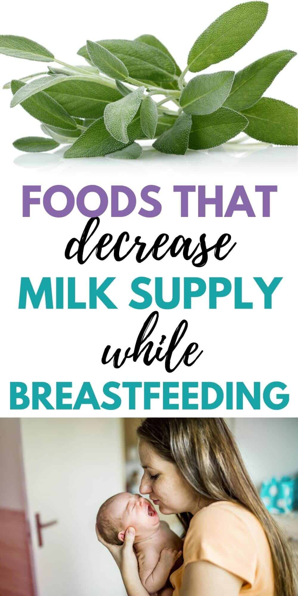 11 Common Herbs and Foods That Decrease Breast Milk Supply Birth Eat Love