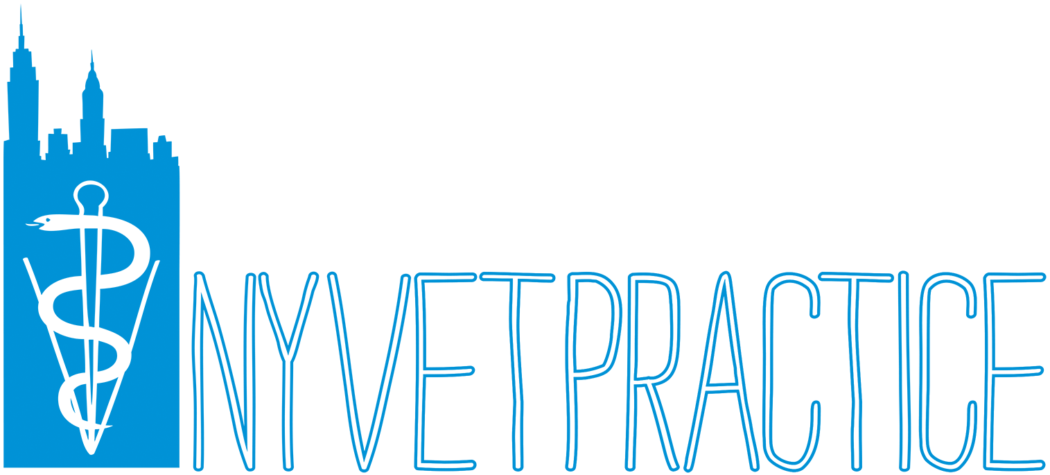 New York Veterinary Practice Biscuits & Bath