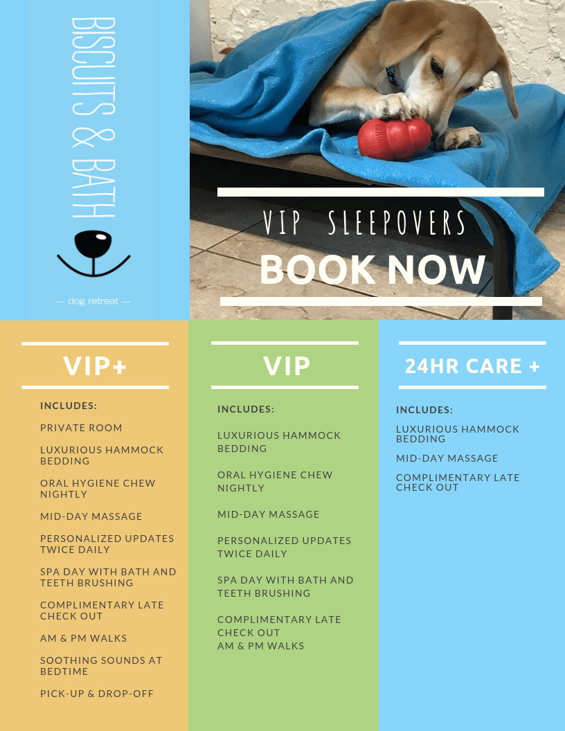 VIP Boarding Options Now Available Biscuits & Bath