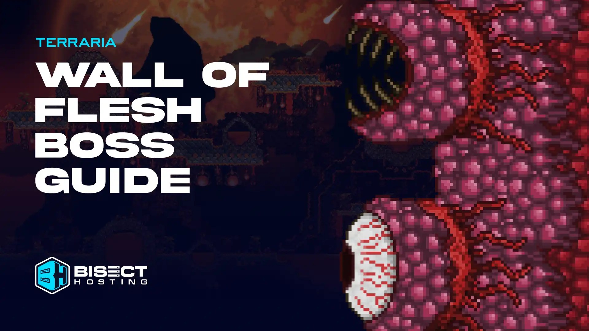 Terraria Bosses Wall Of Flesh