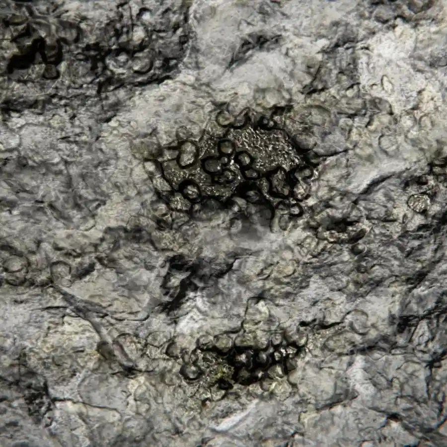 Space Engineers Uranium Farming Guide Locations, Appearance