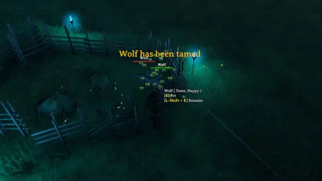 Valheim Wolf Taming & Breeding Guide