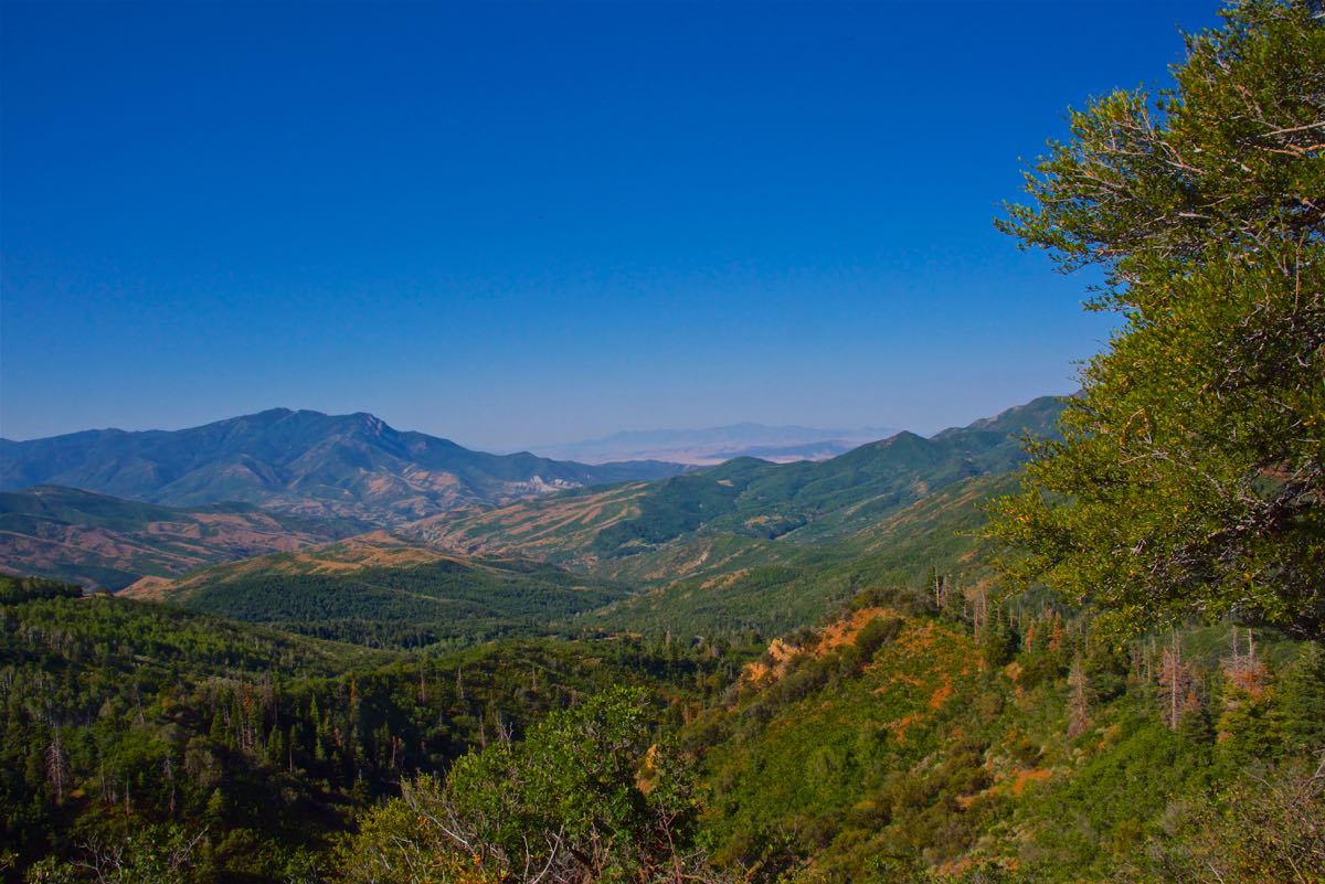 Mt. Nebo Drive 8162017 Hobbies