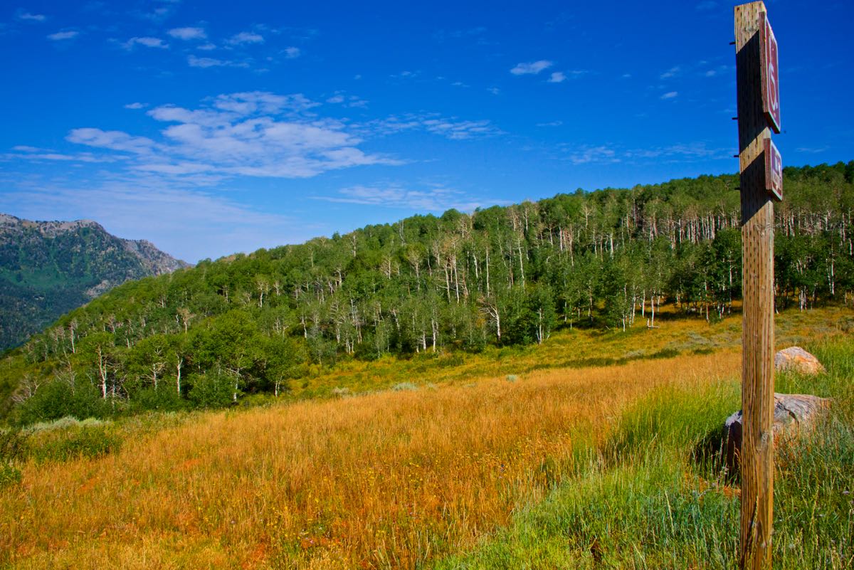 Mt. Nebo Drive 8162017 Hobbies