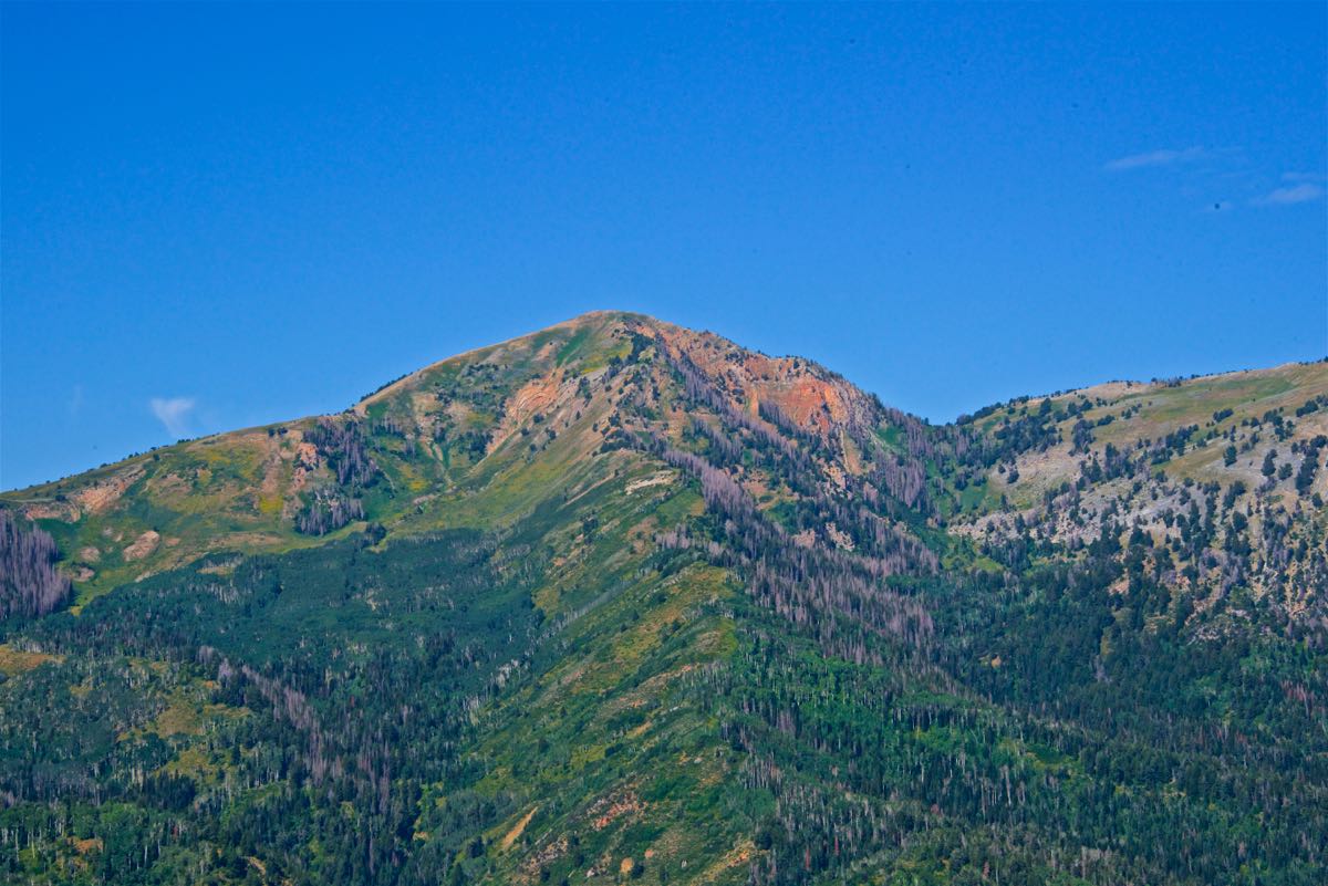 Mt. Nebo Drive 8162017 Hobbies