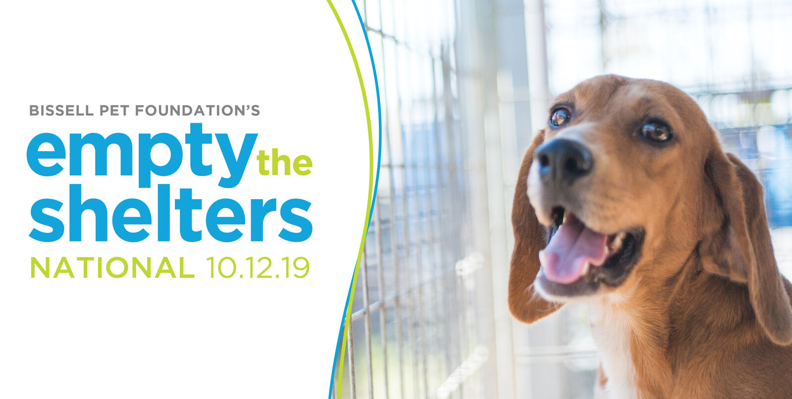 Kent County Animal Shelter Adoptions petfinder