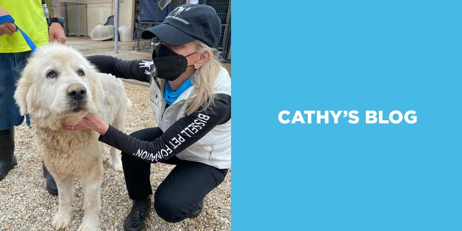 BISSELL Pet Foundation Assists with 19 Cruelty Cases and Counting