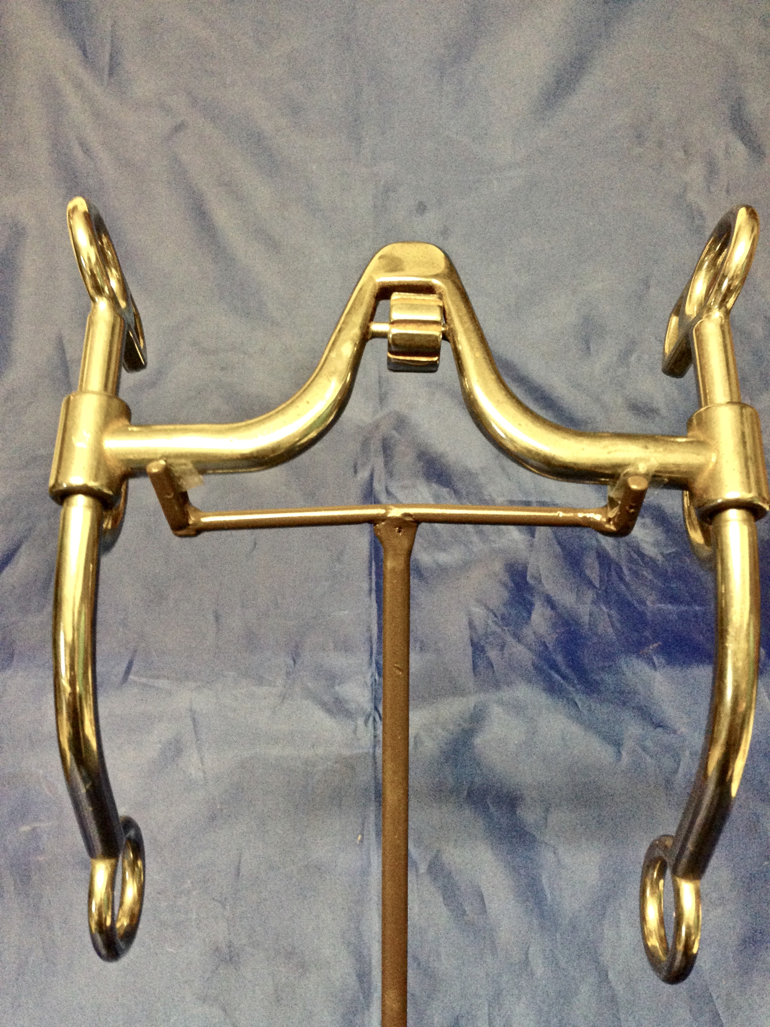 Bit and Spur Company » Jim Edwards Turtle with Cricket