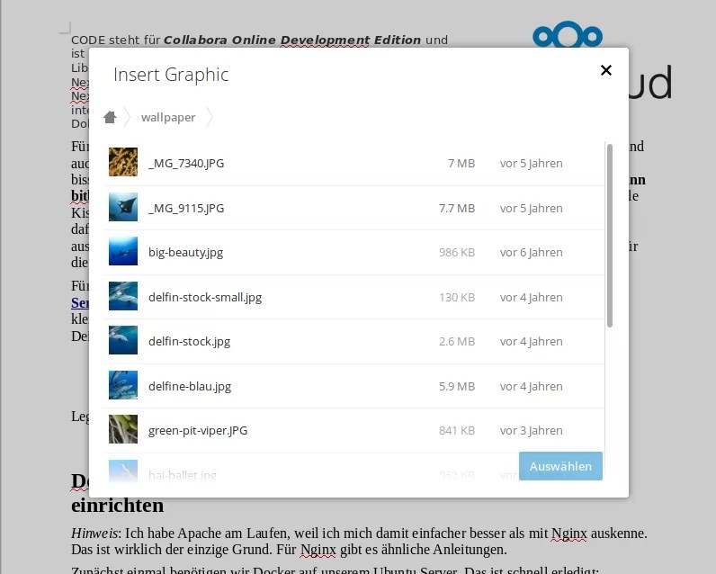 Neue Collabora Online App für Nextcloud noch bessere