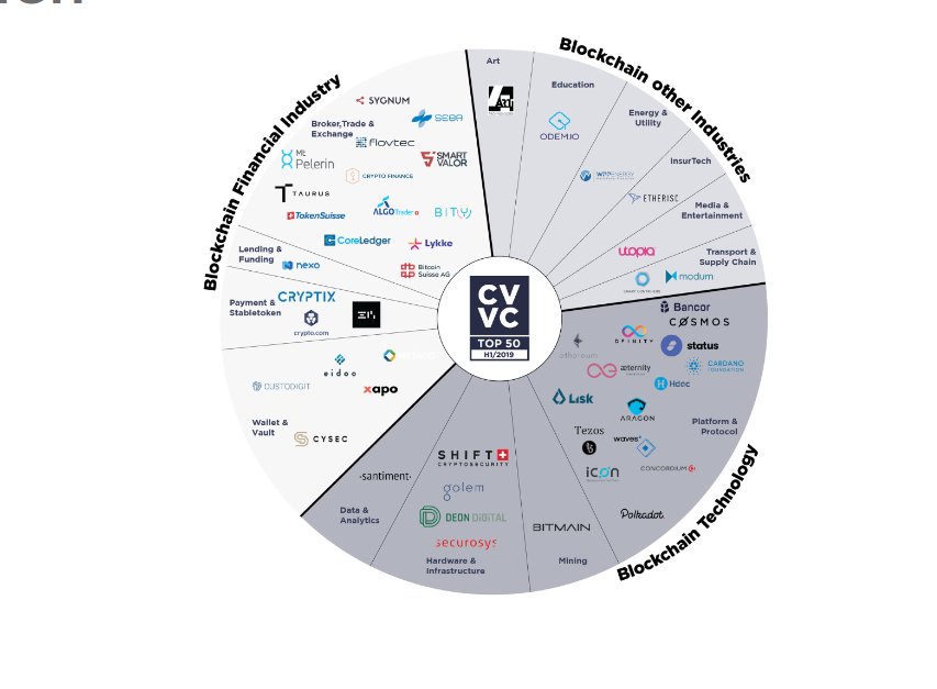 Bitcoin Top 50 Report Der Sommer ist ins Crypto Valley