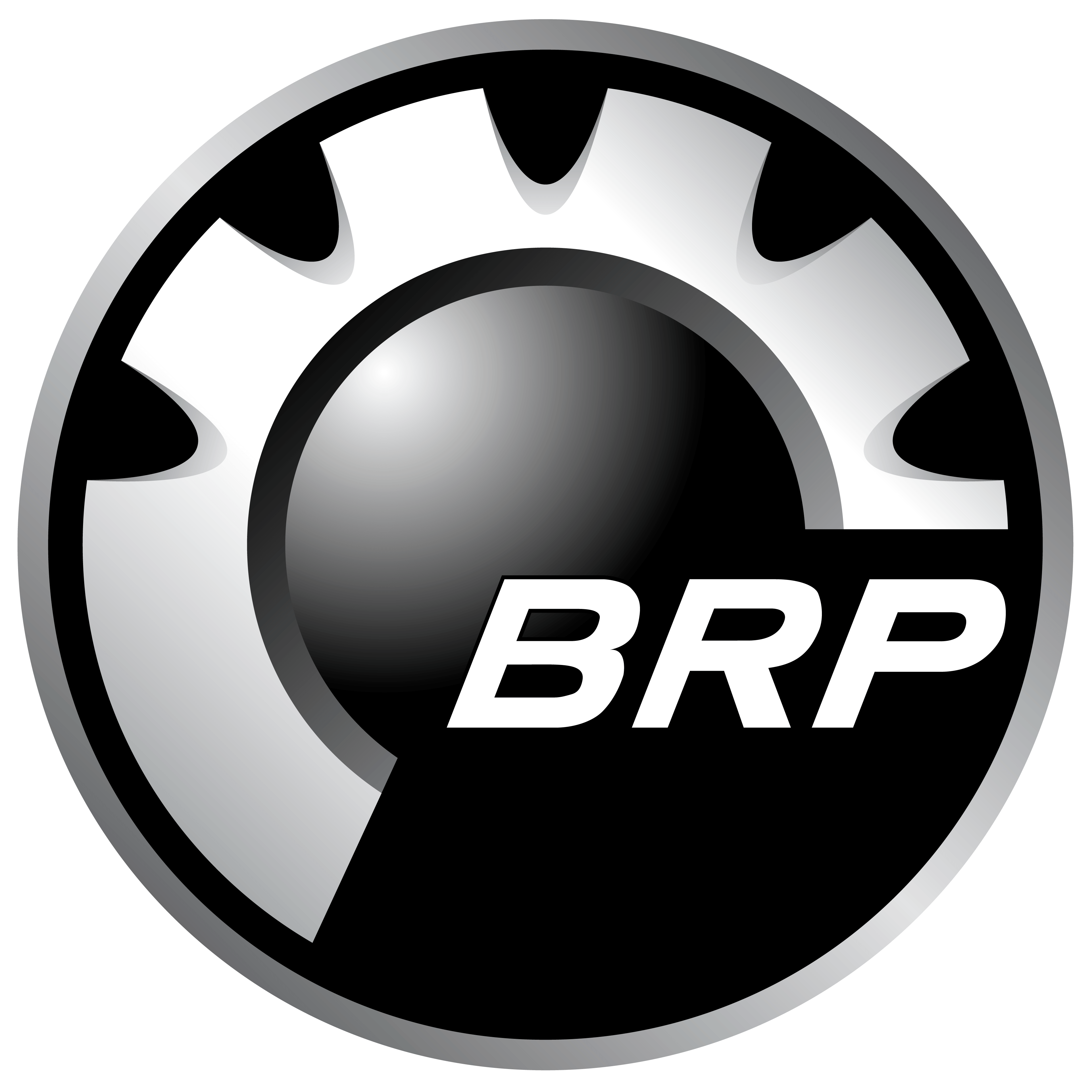 BRPLogo BiT Dealership Software