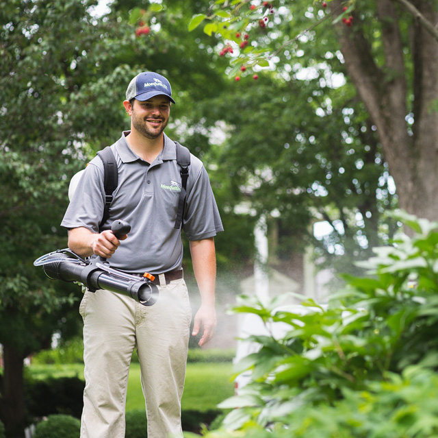 Mosquito911 Technician Mosquito 911