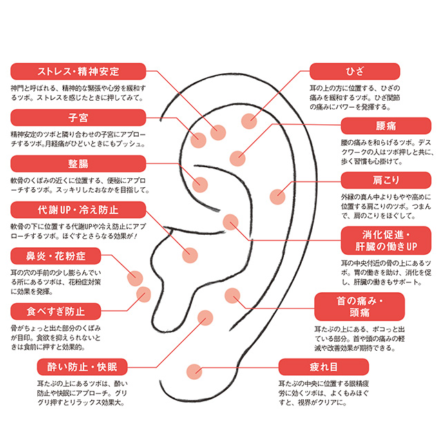 なぜ？耳の後ろの腫れを触ると痛い。大丈夫？病院は何科？【医師監修】 | Medicalook(メディカルック) 耳マッサージって、すごい！医師＆美容プロが教えるコツ【悩み別】 | 美的.Com