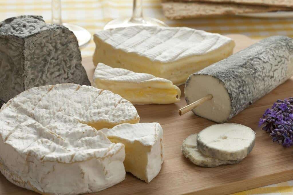 7 best Taleggio Cheese substitutes