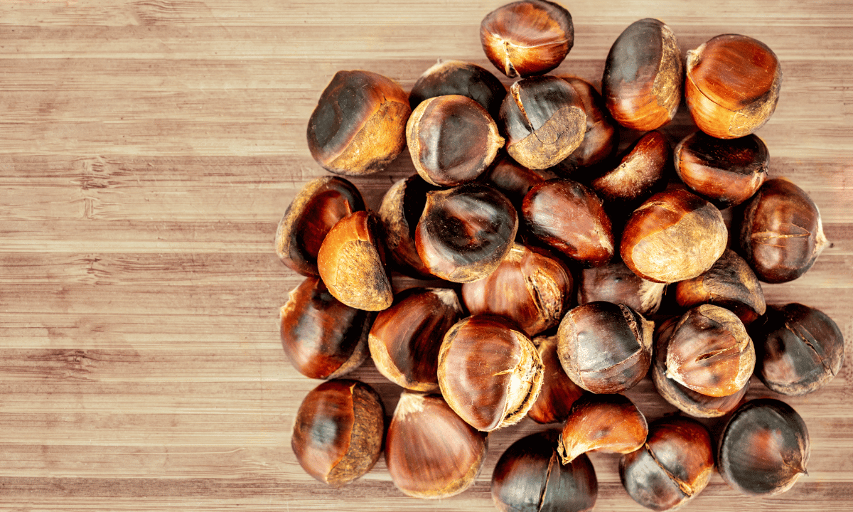 Top 10 Most Expensive Dry Fruits in the World Bite N Sip