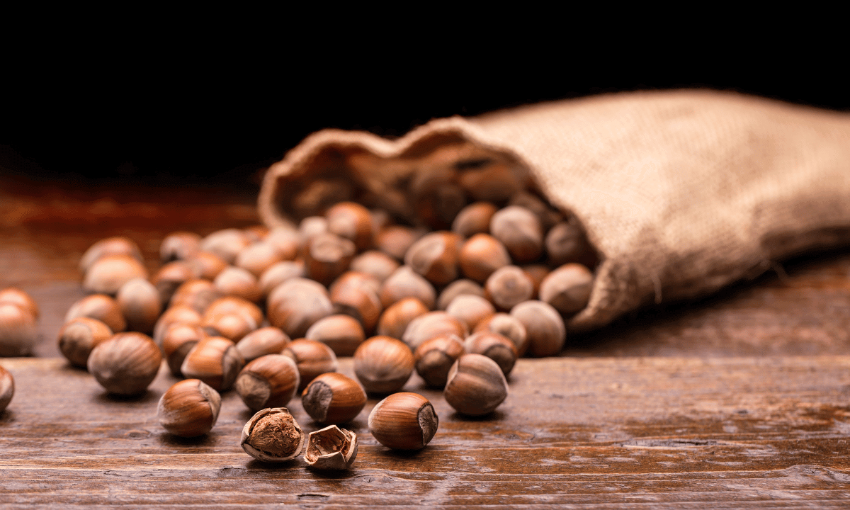 Top 10 Most Expensive Dry Fruits in the World Bite N Sip