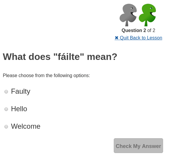 multipleansweririshlanguage Bitesize Irish