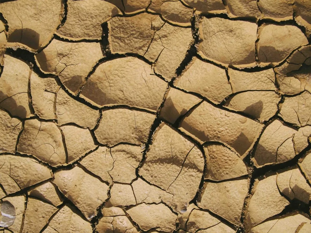 How To Improve Clay Soils In The Garden Bite Sized Gardening