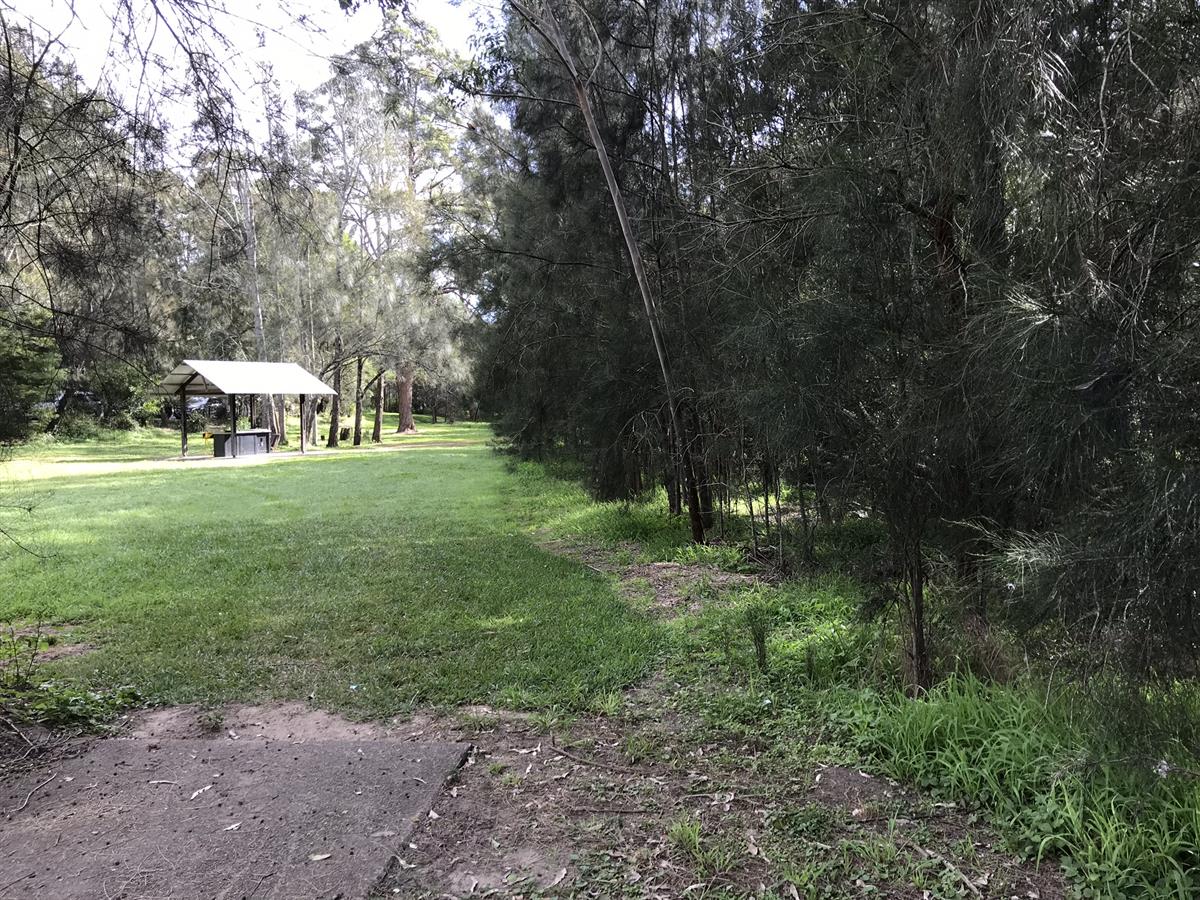 Lane Cove National Park Fairyland Loop Track Bitesize Traveller