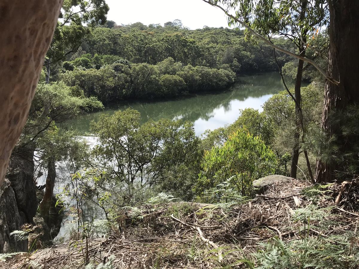 Lane Cove National Park Fairyland Loop Track Bitesize Traveller