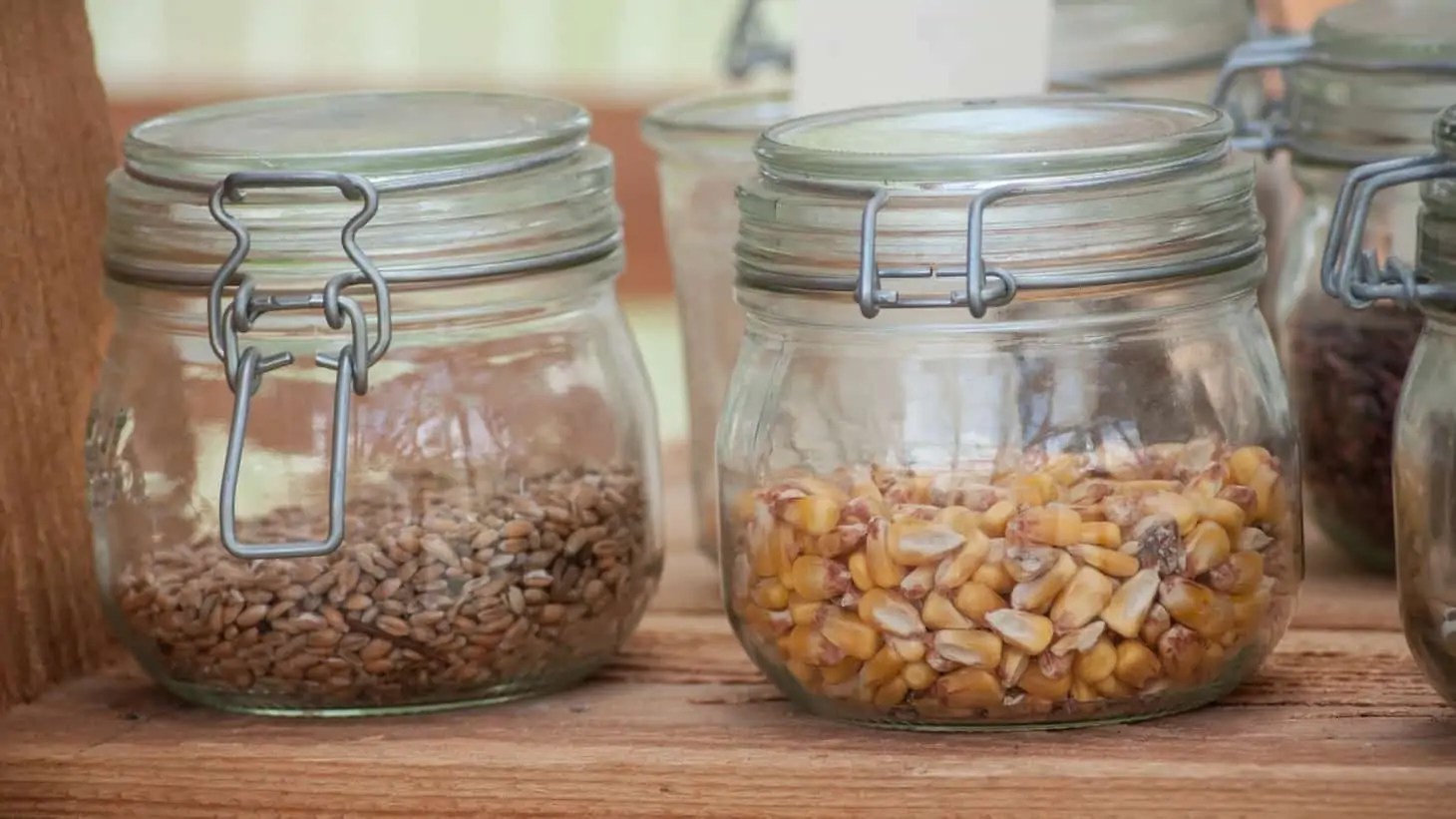 How To Store Seeds For Later Use