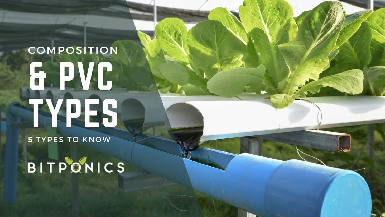 Is PVC Safe for Hydroponics? Here’s All You Need to Know