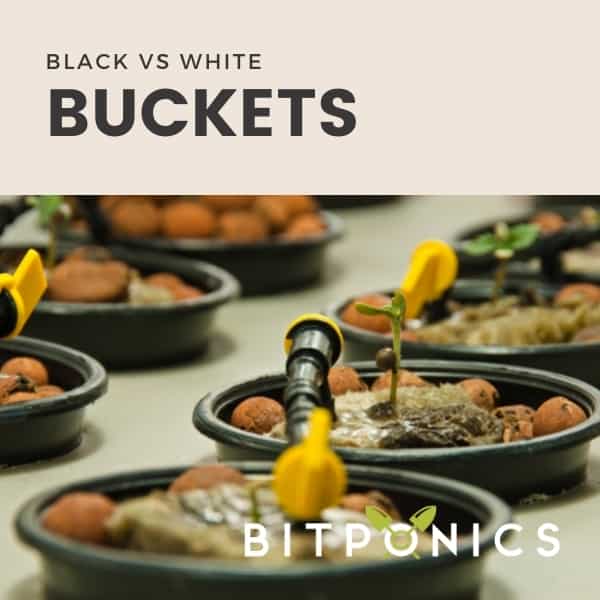 White Or Black Buckets for Hydroponics? Debate OVER!