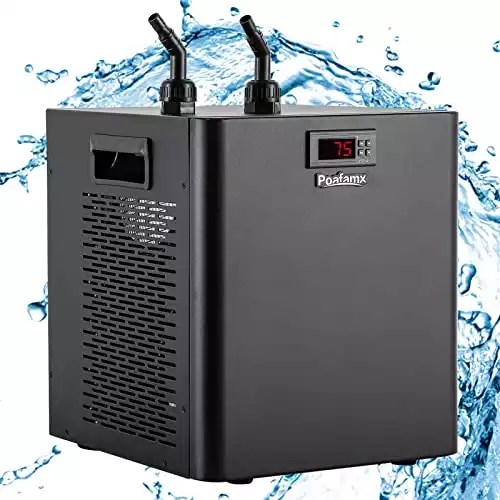 Best Water Chiller For Hydroponics
