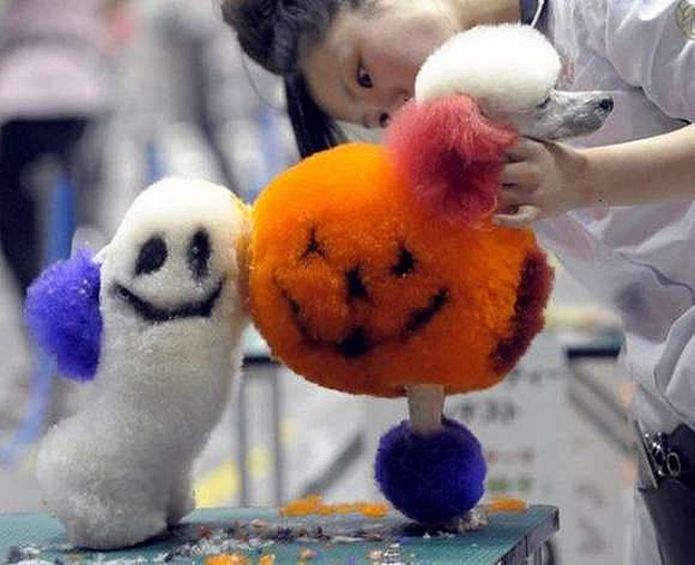 Creative Poodle Art An Extreme Form Of Dog Grooming Bit Rebels