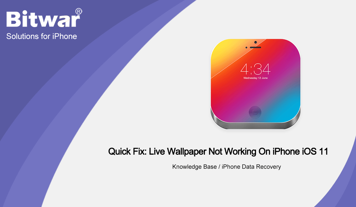 Quick Fix Live Wallpaper Not Working On iPhone iOS 14