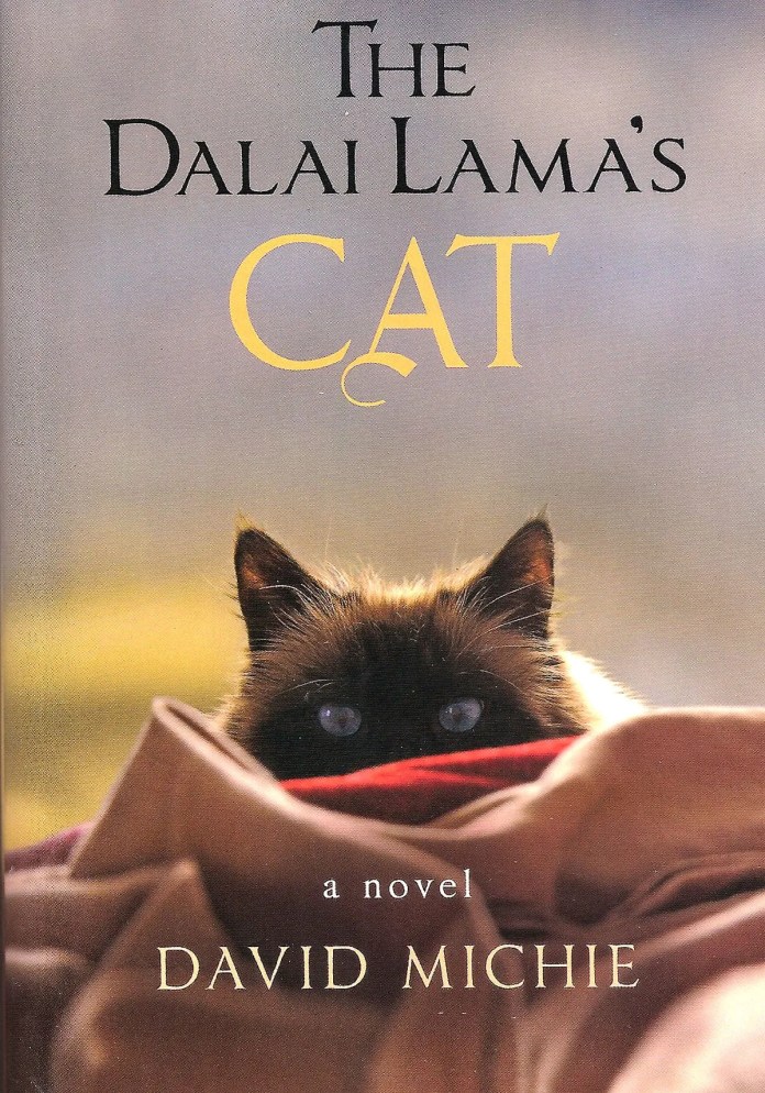 Dali-Lama-cat The Dalai Lama's Cat teaches us living in the moment makes us happy