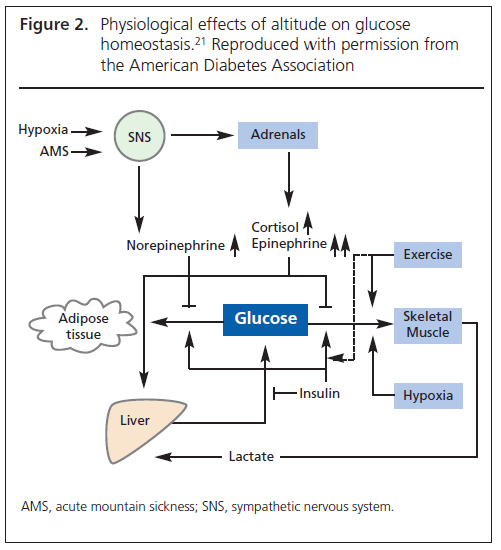 World travel with type 1 diabetes using continuous subcutaneous insulin
