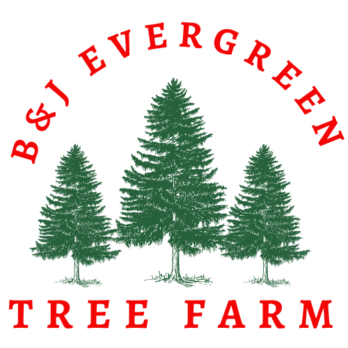 BEl (Logo) B&J Evergreen