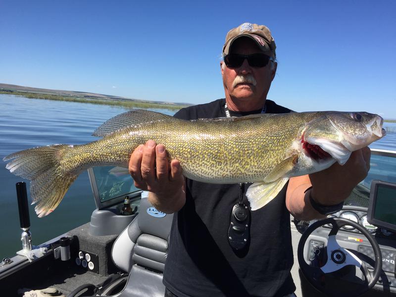 B.J.'s Guide Service guided walleye fishing trips.