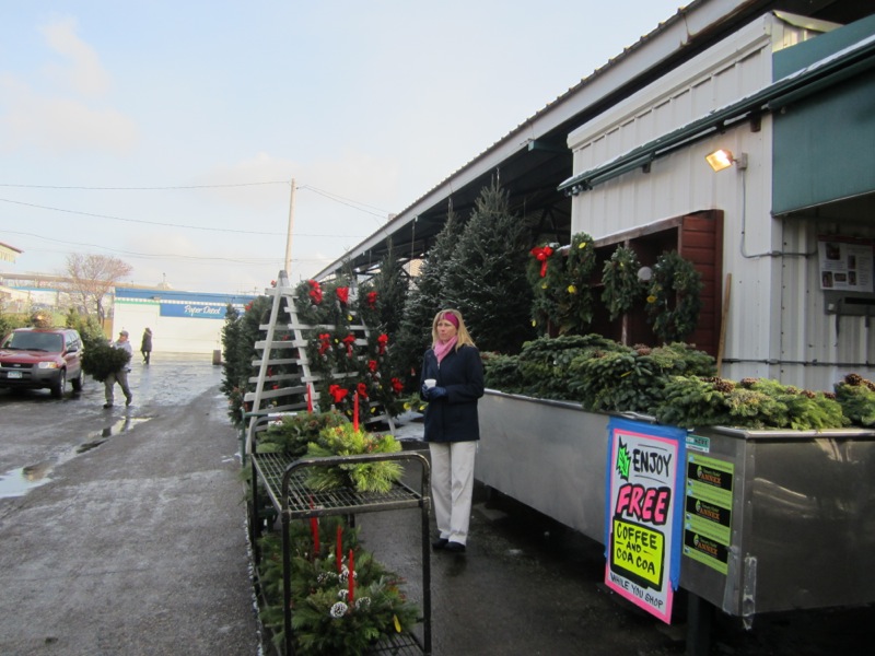 Free Cocoa! BJ Trees