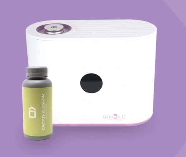 Whole Home Scenting Case Study BKA Content