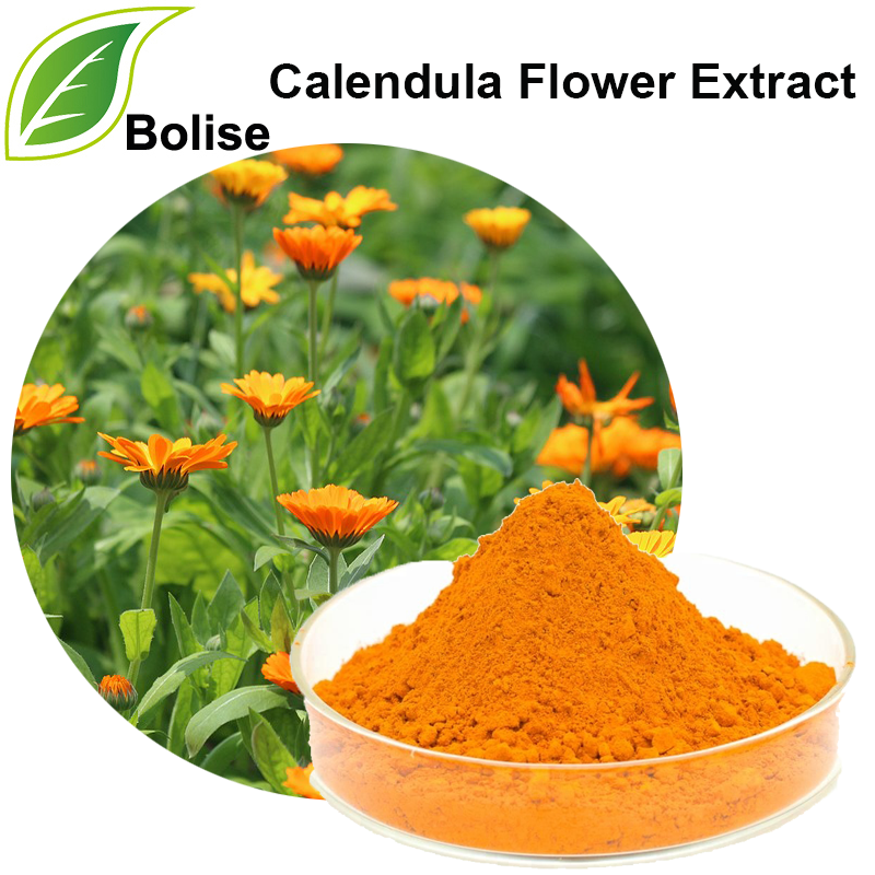Calendula Flower Extract Buy,Price,Suppliers,Manufacturers from Bolise