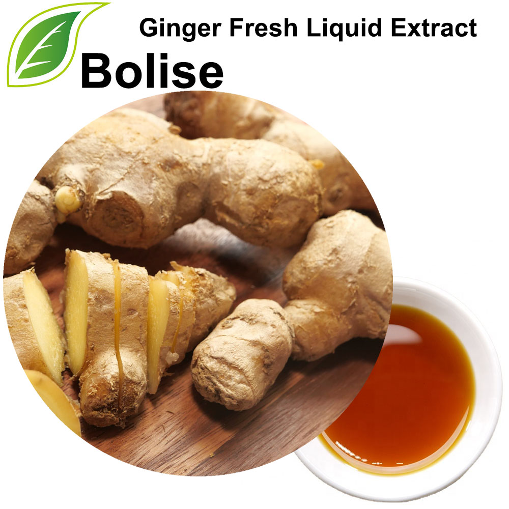 Ginger Fresh Liquid Extract Suppliers,Manufacturers from Bolise