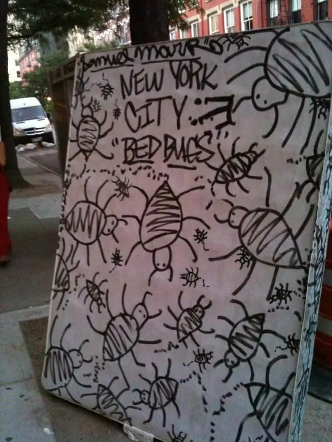 What It's Really Like to Deal With New York's Worst Roommate Bed Bugs