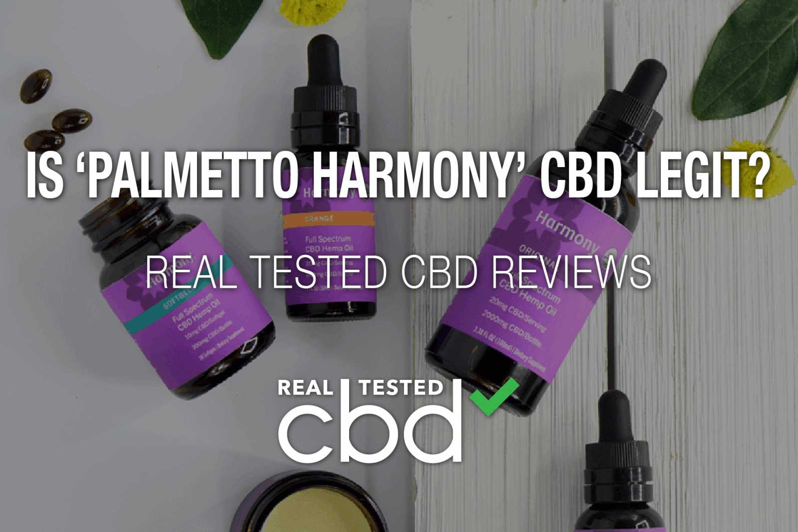 Is ‘Palmetto Harmony’ CBD Legit? A Real Tested CBD Brand Spotlight