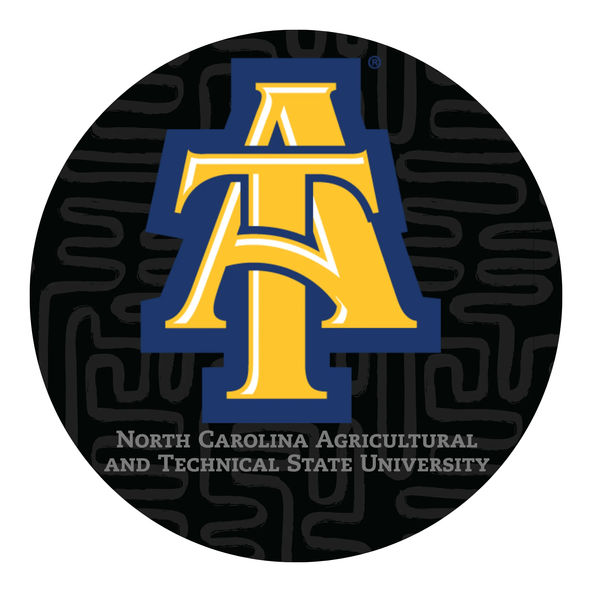 North Carolina A&T State University Black & Scholared