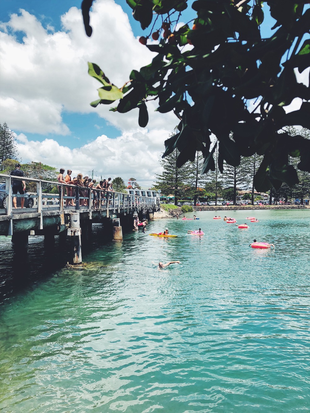 Things To Do In Brunswick Heads Blackbird Byron