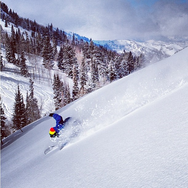 Powder Mountain Shuttle Black Diamond Airport Shuttle