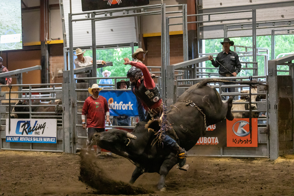 Pro Rodeo Events
