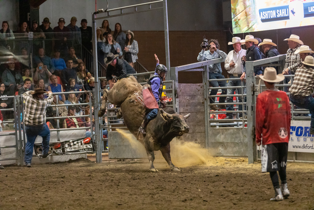 Pro Rodeo Events