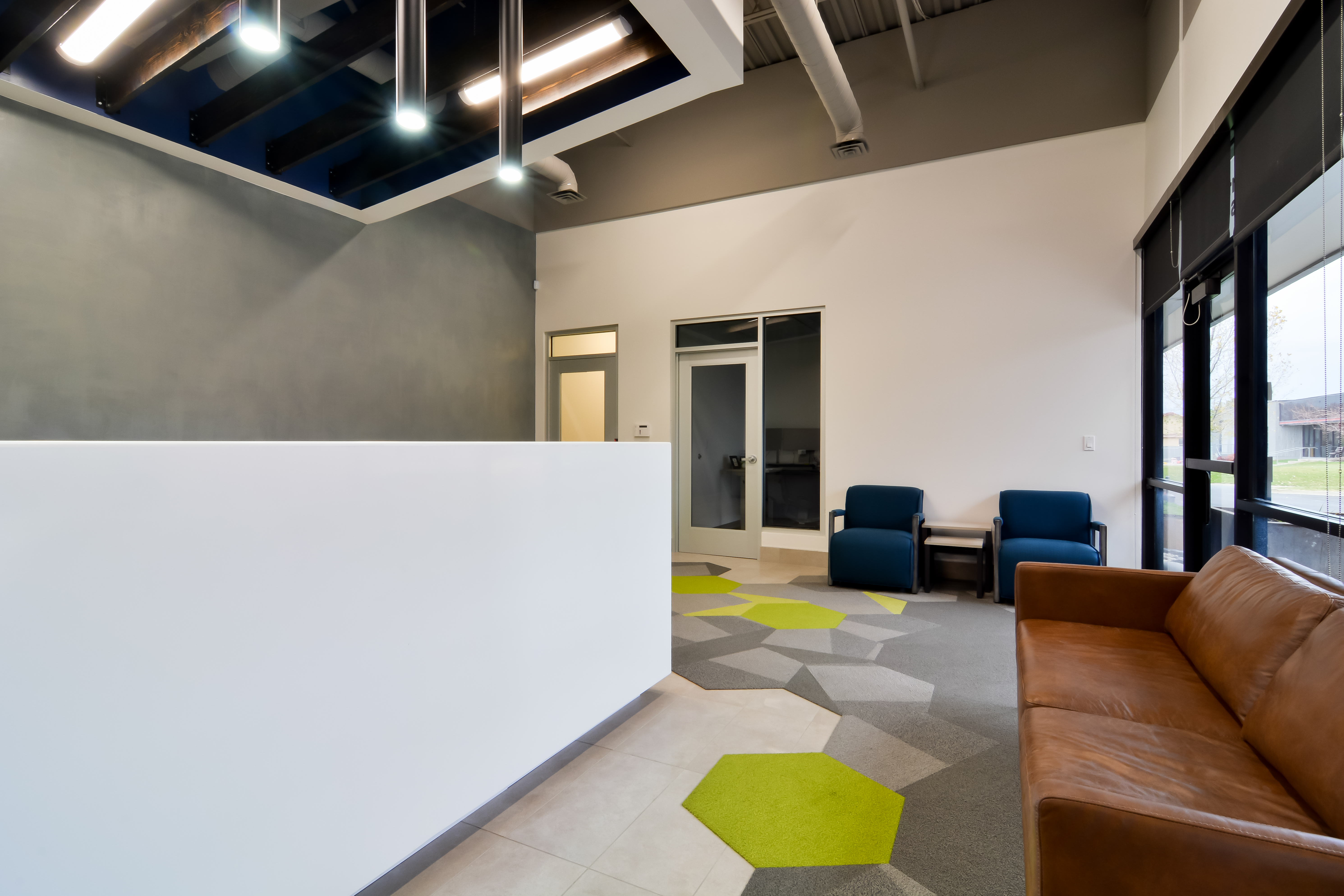 Snap! Finance Black Lab Fetching Awesome