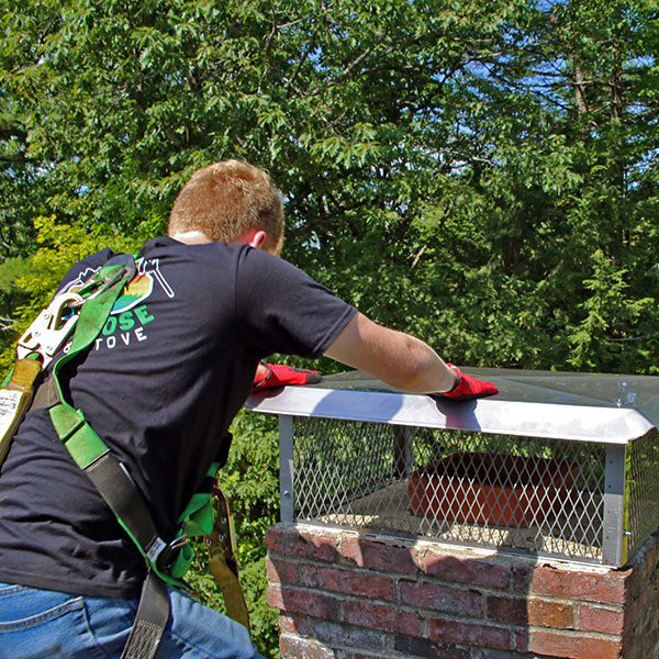 Keep squirrels out of your chimney with these tips from our pros