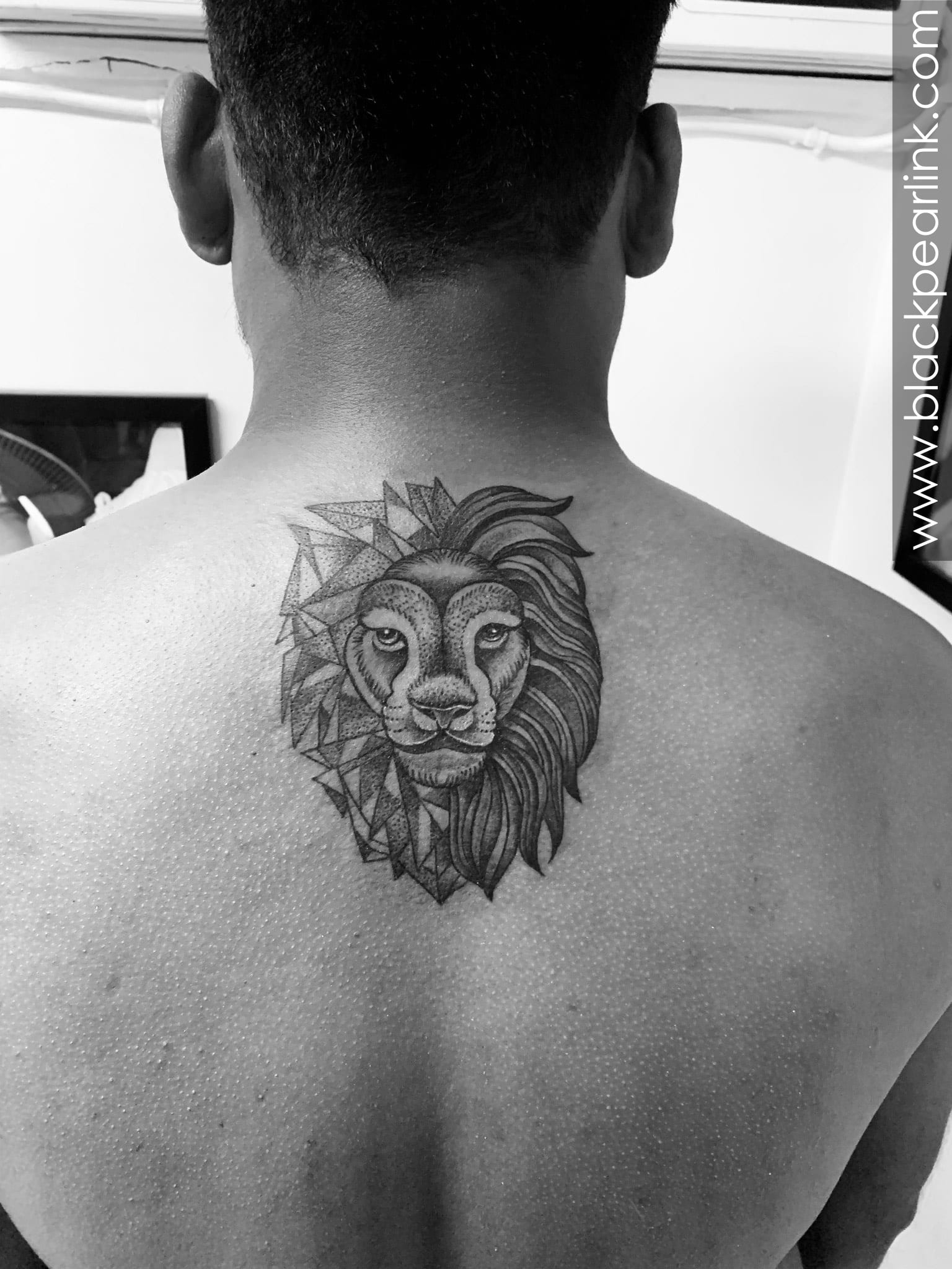 Top 5 Lion tattoos the king of the jungle Top 5 Lion tattoos the king of the jungle