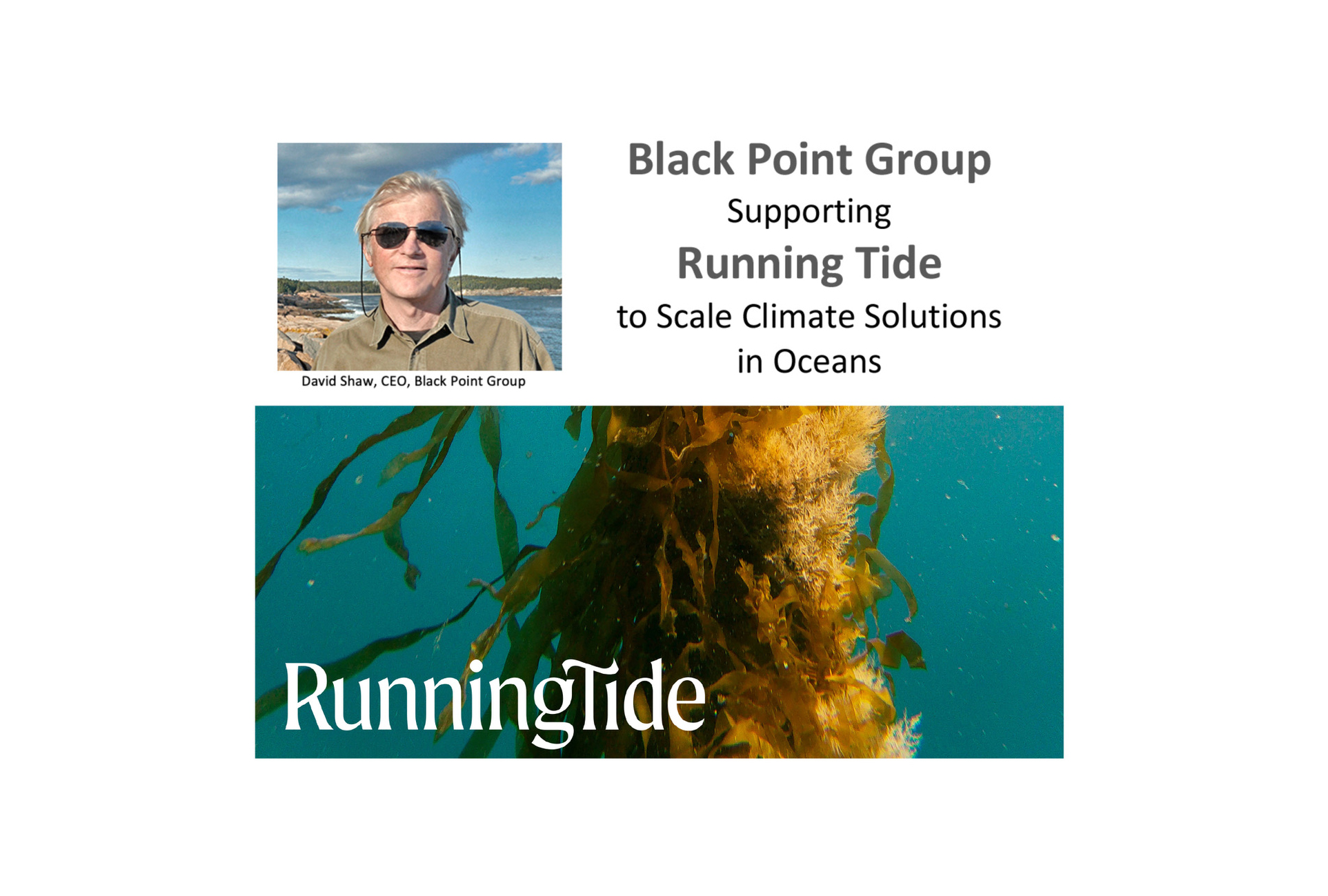 Supporting Running Tide to scale climate solutions in the ocean